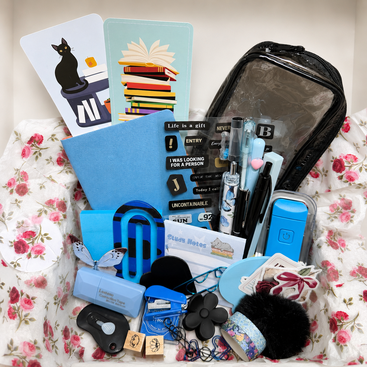 🩵📚 Kit Blue Chapter 📚🩵